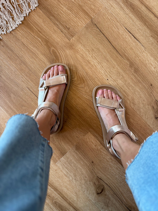 Sandalo FOREST DORATA