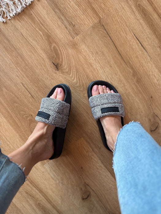 Ciabatta SLIDE DOTTY