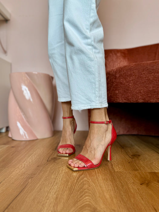 Sandalo aragosta Mony