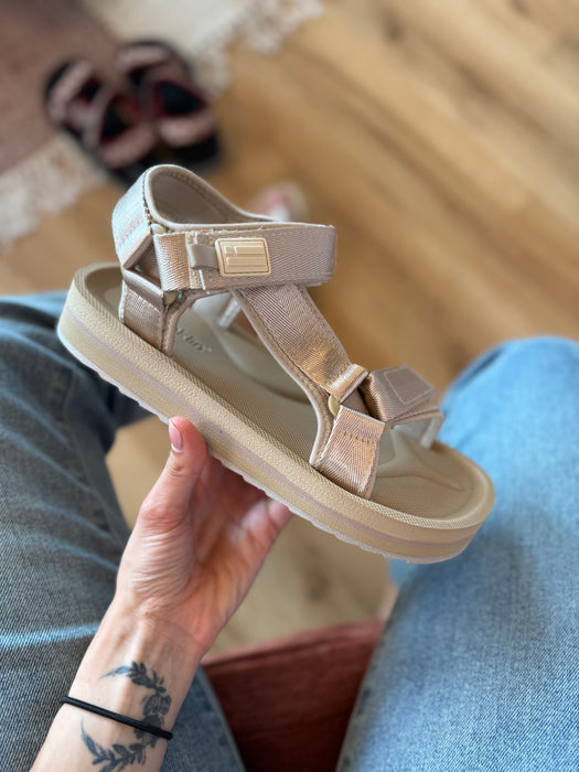 Sandalo FOREST DORATA