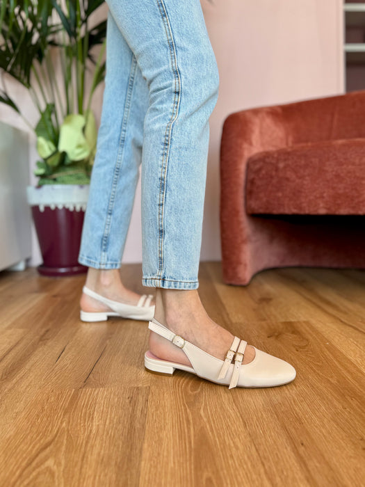 Chanellina tonda Veronica PANNA