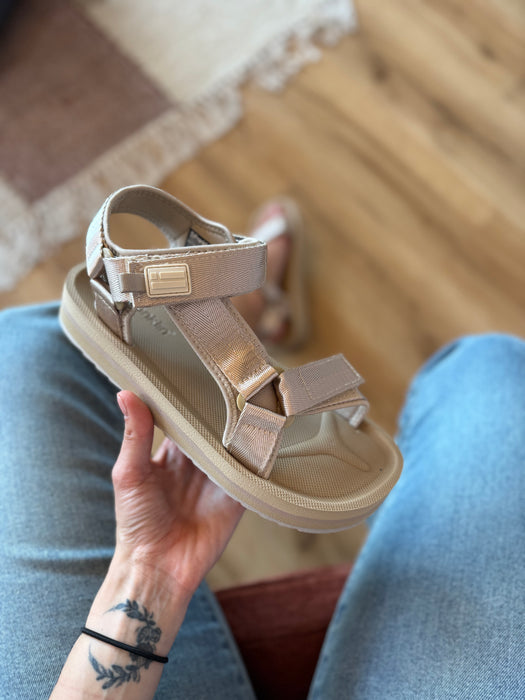 Sandalo FOREST DORATA