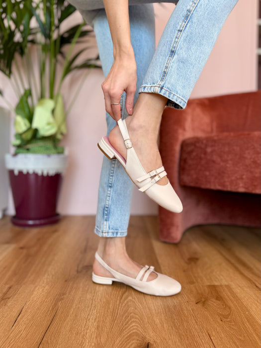 Chanellina tonda Veronica PANNA