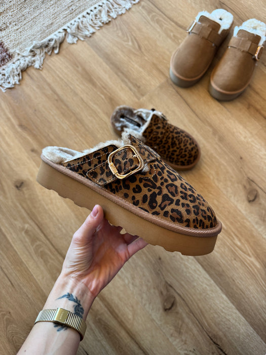 Sabot pelo platform LEOP