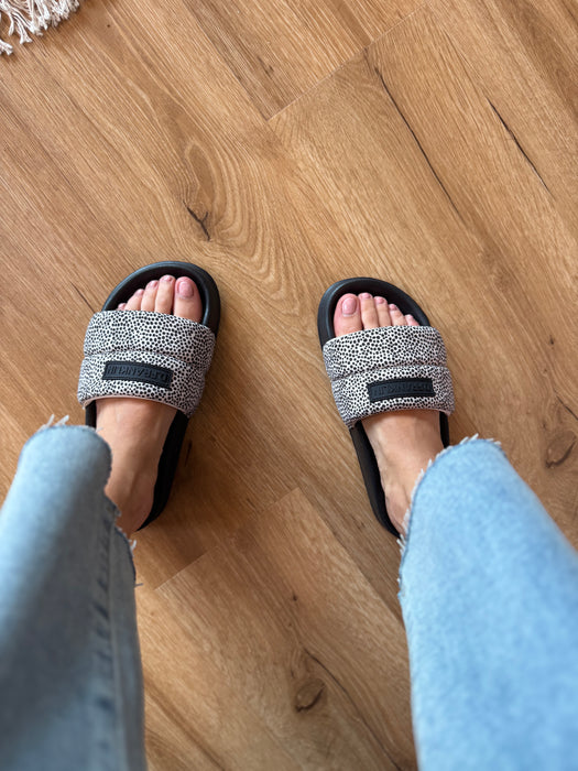 Ciabatta SLIDE DOTTY