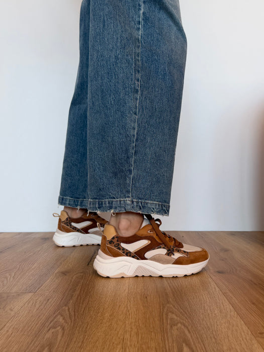 Sneakers camel QUEEN
