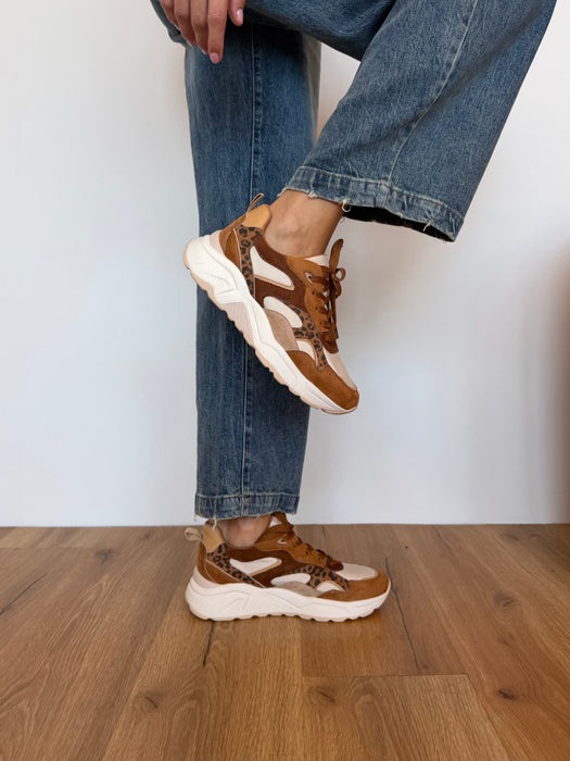 Sneakers camel QUEEN