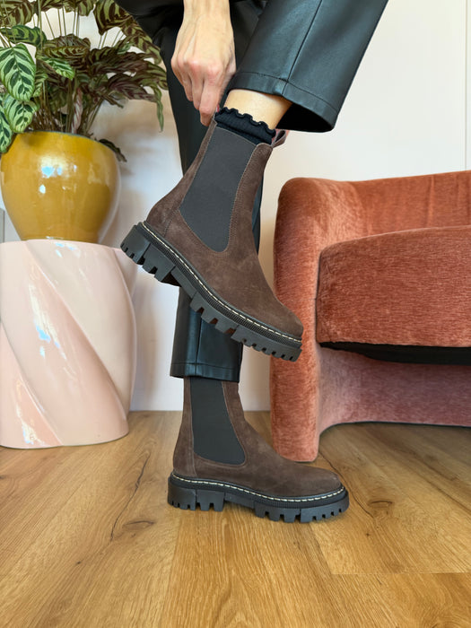 Chelsea NOAH MARRONE