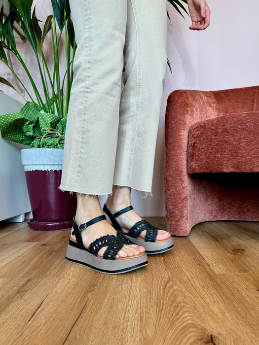 Zeppa platform NERA